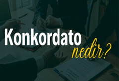 Konkordata Avukatı Nehir Ak